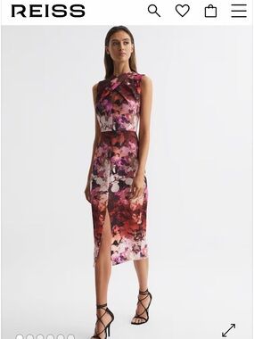 NWT Reiss Vega Dress